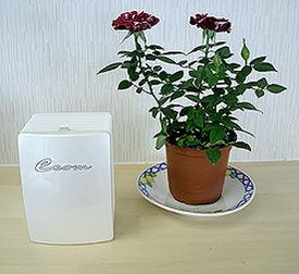 新光　エコム ルームミニ EK-011 【空間除菌消臭・花粉対策】